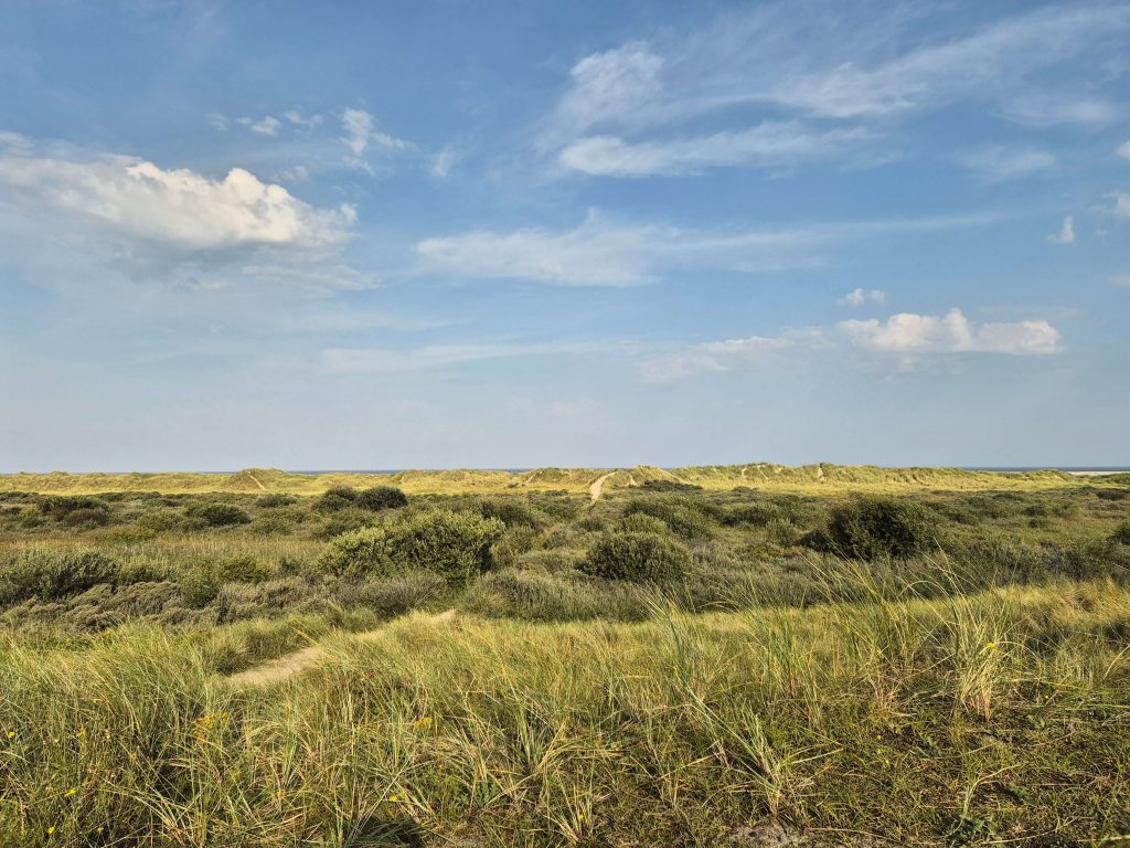 20240905 093628 20240905 093628