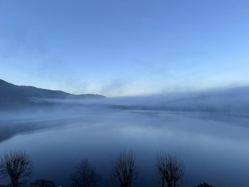 img 20251213 wa0001 img 20251213 wa0001